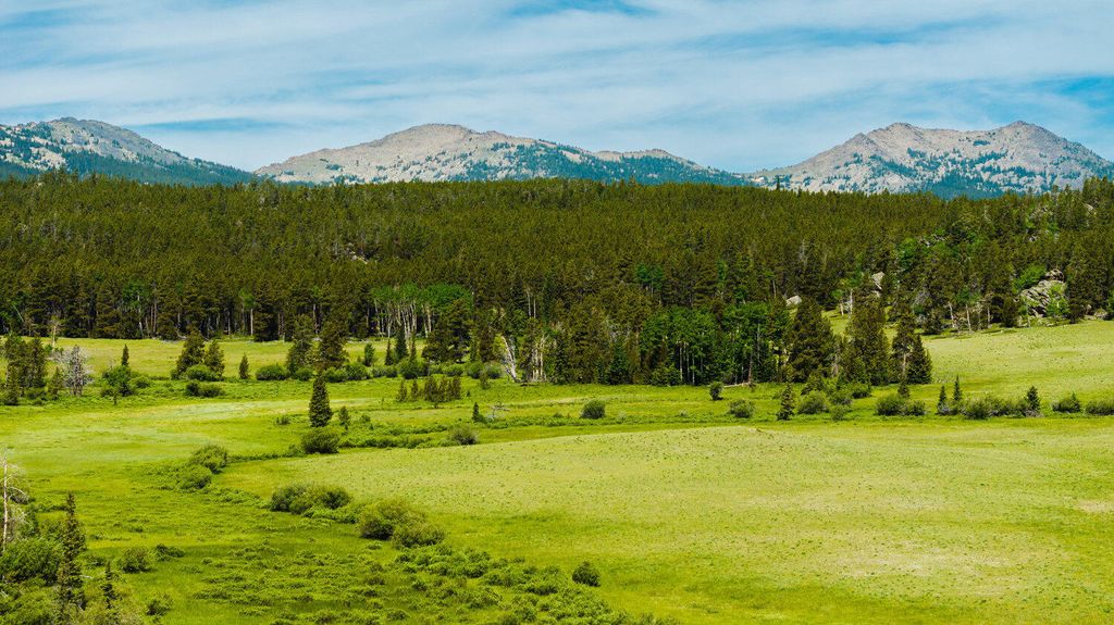 Hazelton Road, Buffalo, WY 82834 photo 41