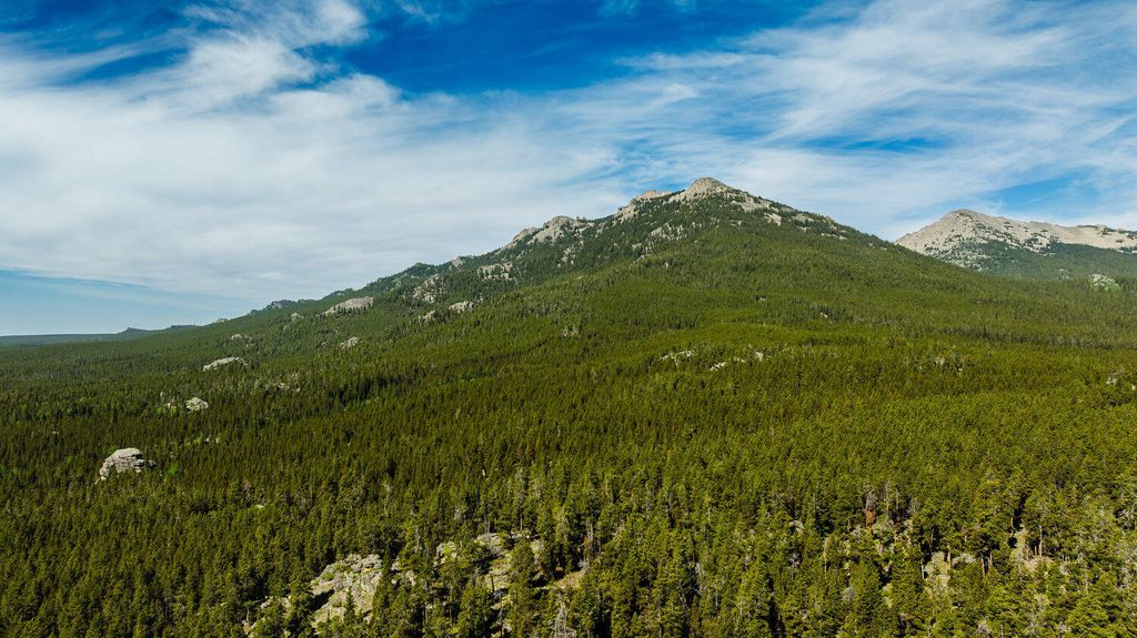 Hazelton Road, Buffalo, WY 82834 photo 6