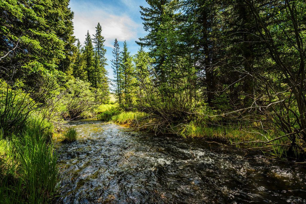 Hazelton Road, Buffalo, WY 82834 photo 61