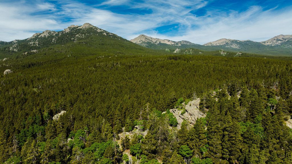 Hazelton Road, Buffalo, WY 82834 photo 7