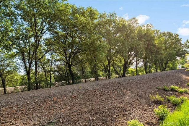 47 Jersey Brown, Chico, CA 95973