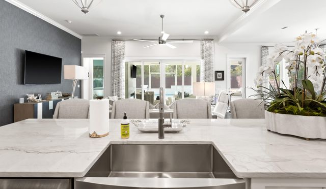 245 Seacrest Drive, Inlet Beach, FL 32461