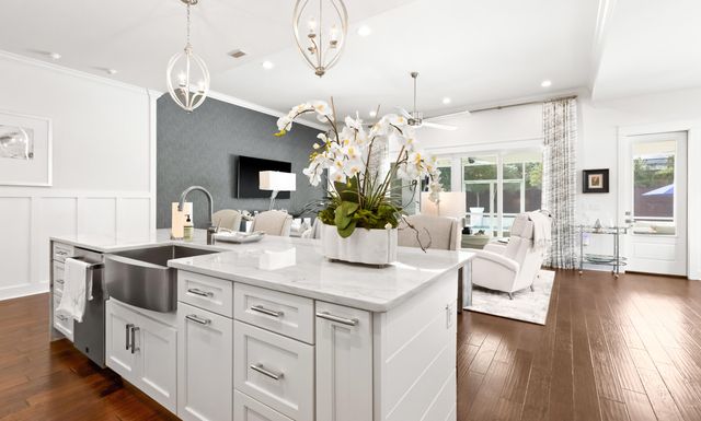 245 Seacrest Drive, Inlet Beach, FL 32461