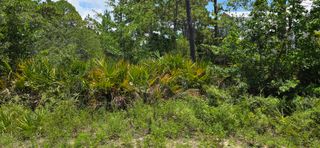 Lot #24 Elm Street, Santa Rosa Beach, FL 32459