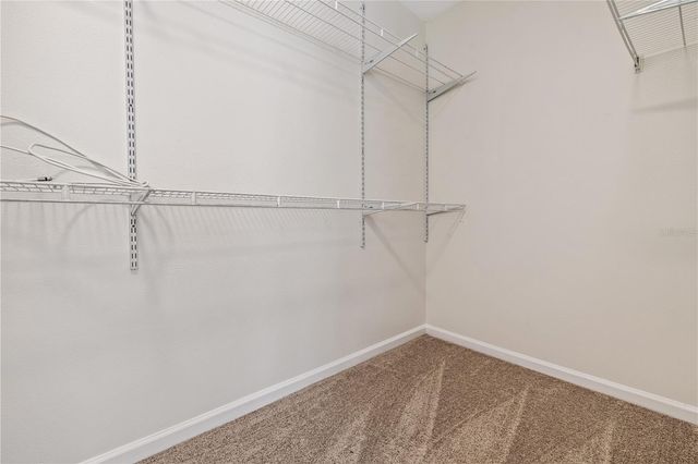 8520 SANDY BEACH STREET, Tampa, FL 33634