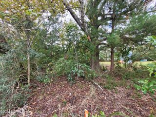 0 SENTINEL Drive, Crescent City, FL 32112