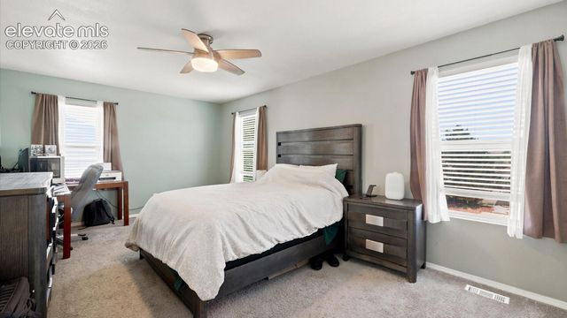 4905 Balsam Street, Colorado Springs, CO 80923