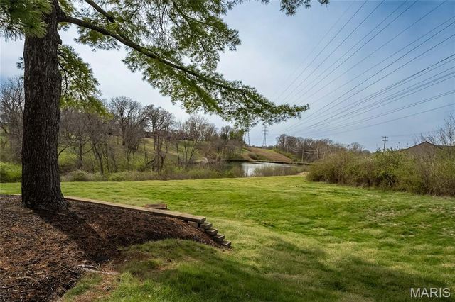 1467 Willow Brook Cove, St Louis, MO 63146