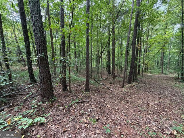 301 Wolf Creek Place, Locust Grove, GA 30248