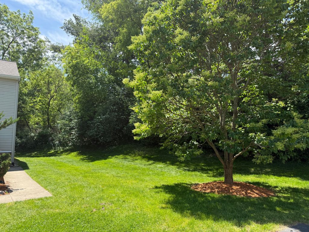 8507 Courtland Drive NE 4, Rockford, MI 49341