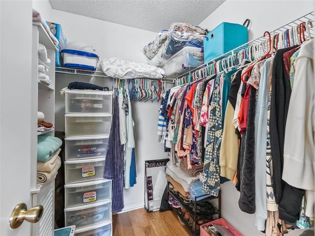 919 MEDIRA DRIVE, The Villages, FL 32159
