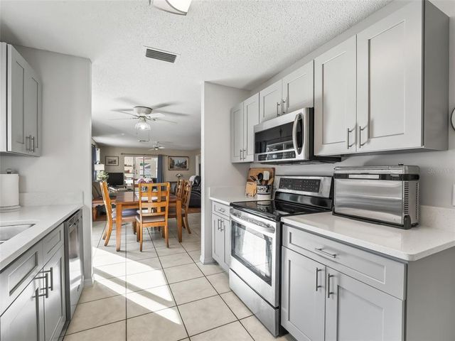 919 MEDIRA DRIVE, The Villages, FL 32159