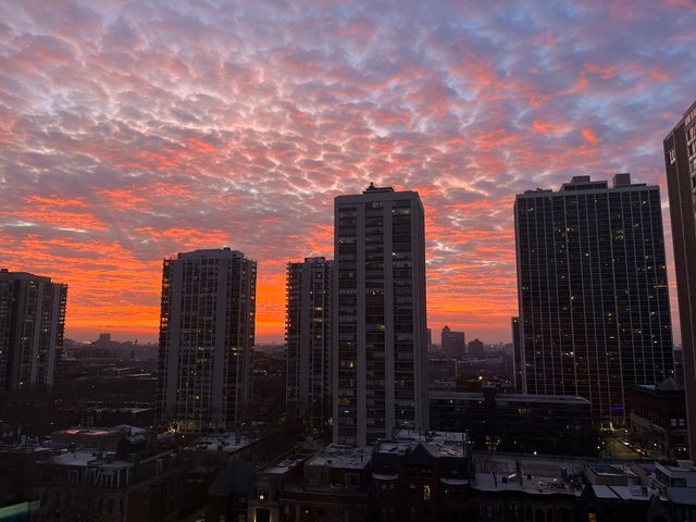 1516 N State Parkway 16D, Chicago, IL 60610