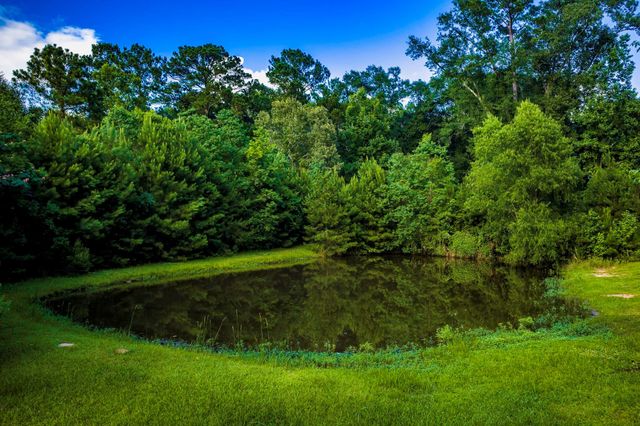 1699 Old Woodville Road, Livingston, TX 77351