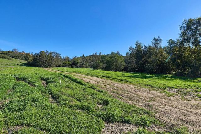 16331 Rambla De Las Flores, Rancho Santa Fe, CA 92067