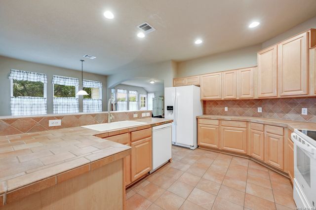 108 Twin Sisters Drive, Spring Branch, TX 78070