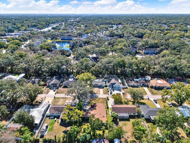 121 SIOBHAN AVENUE, Tampa, FL 33613