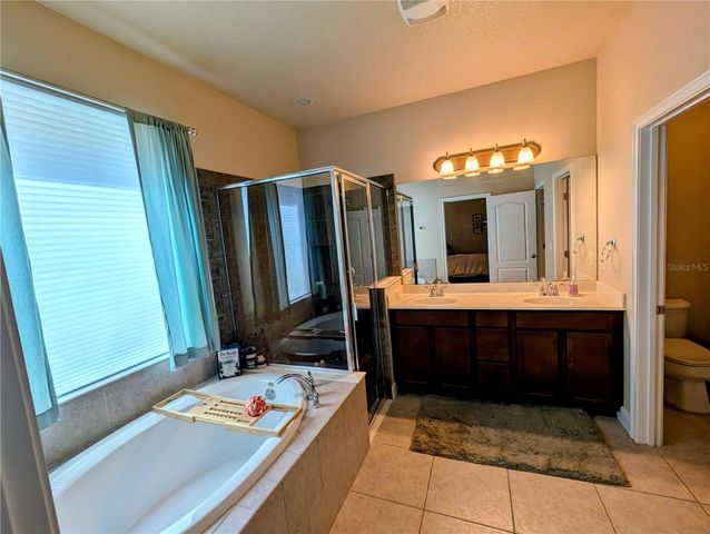 20119 EAGLES LANDING WAY, Tampa, FL 33647