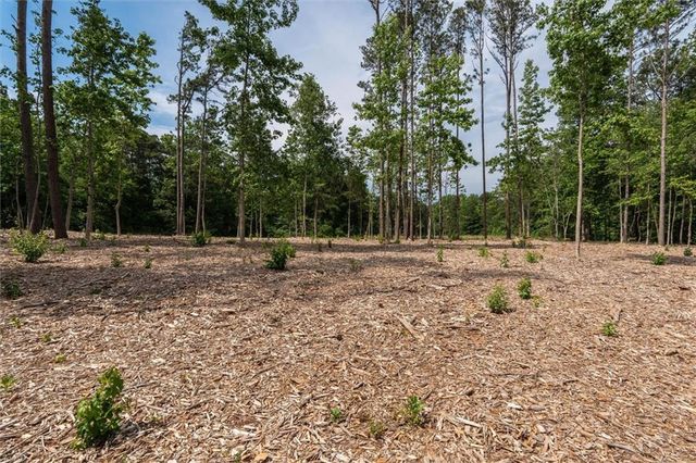 Lot 3 Pope Rd, Buchanan, GA 30113