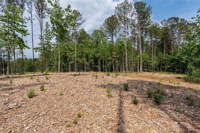 Lot 3 Pope Rd, Buchanan, GA 30113