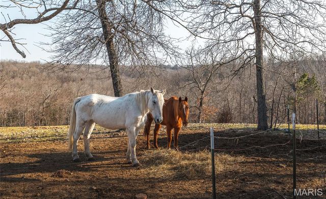 14931 Private Drive 6021, Edgar Springs, MO 65462