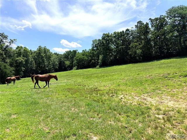1086 Mill Hill Road, St Clair, MO 63077