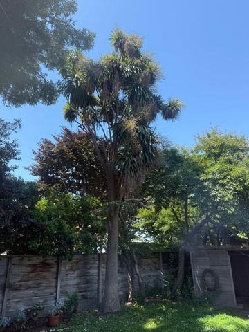 222 Oak Street, Salinas, CA 93901