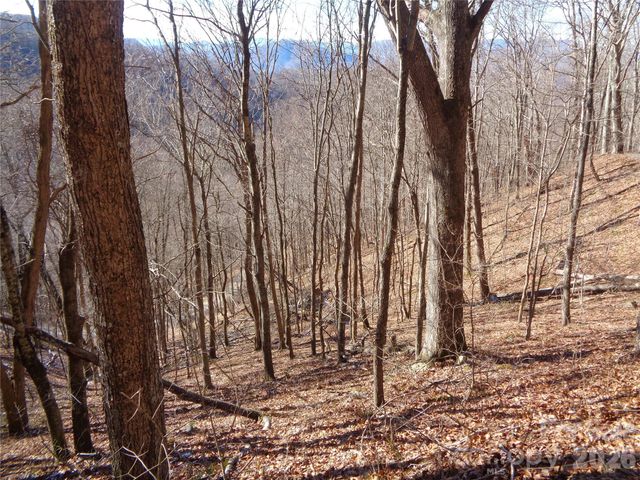00 Listening Cove 41, Clyde, NC 28721