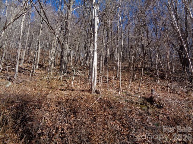 00 Listening Cove 41, Clyde, NC 28721