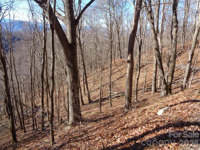 00 Listening Cove 41, Clyde, NC 28721