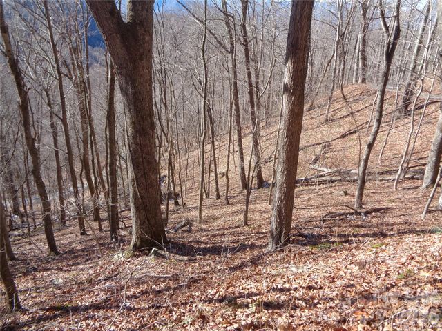 00 Listening Cove 41, Clyde, NC 28721