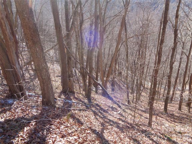 00 Listening Cove 41, Clyde, NC 28721
