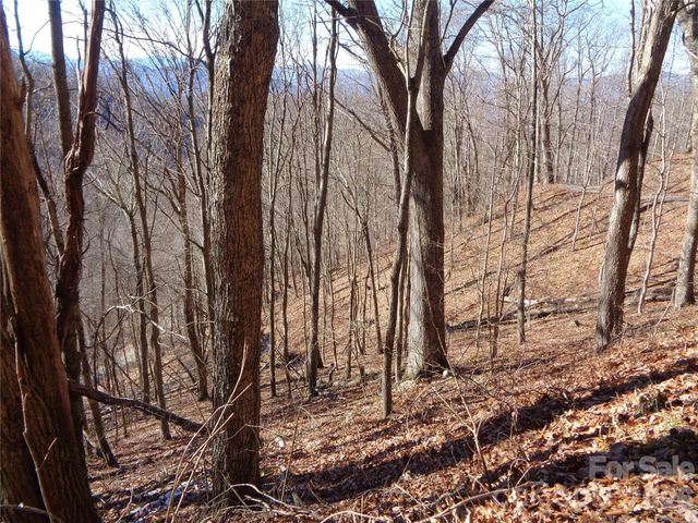 00 Listening Cove 41, Clyde, NC 28721