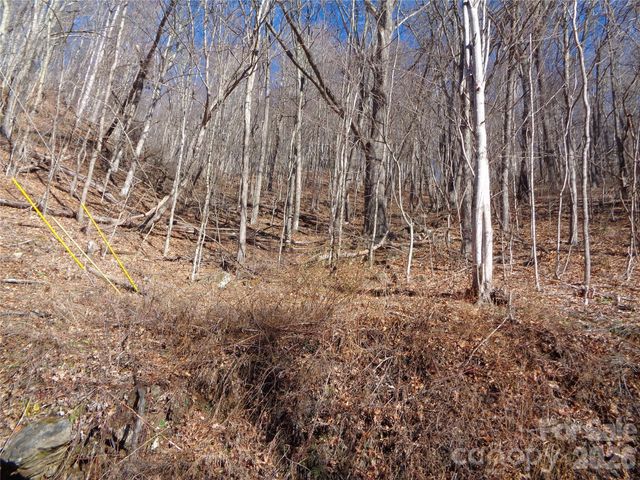 00 Listening Cove 41, Clyde, NC 28721