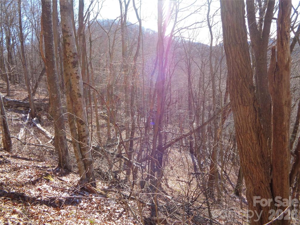 00 Listening Cove 41, Clyde, NC 28721