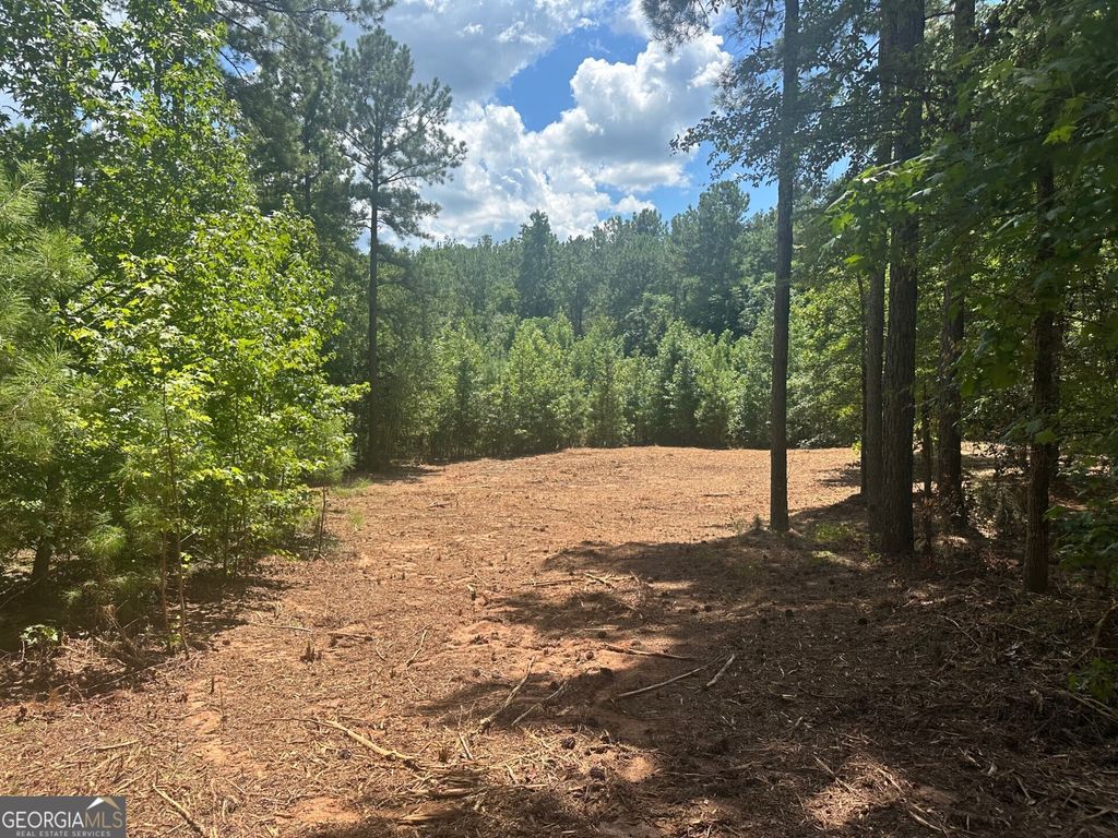 0 Ruckersville Road, Elberton, GA 30635 — exterior