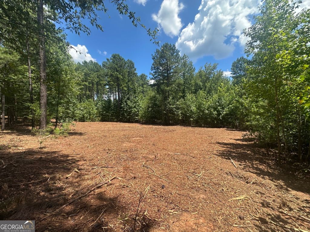 0 Ruckersville Road, Elberton, GA 30635 — photo 4