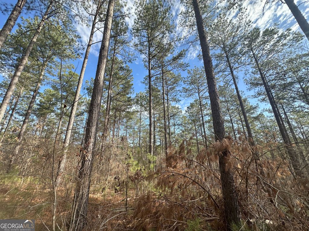 0 Ruckersville Road, Elberton, GA 30635 — photo 5