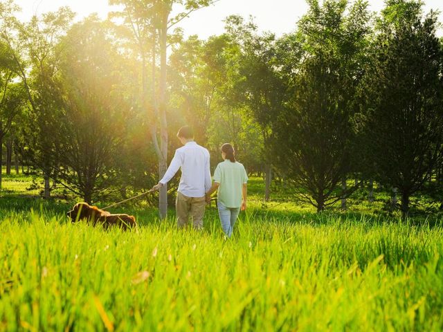 14506 Annie Crossing DR, Cedar Park, TX 78641