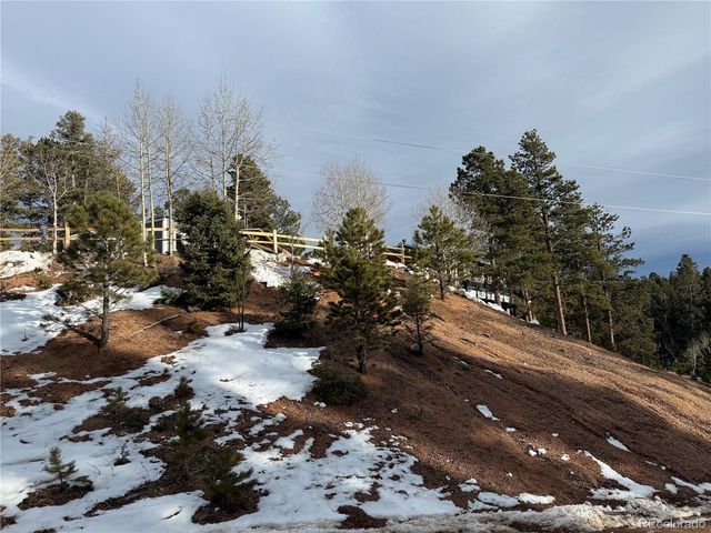 396 Mohawk Heights, Florissant, CO 80816