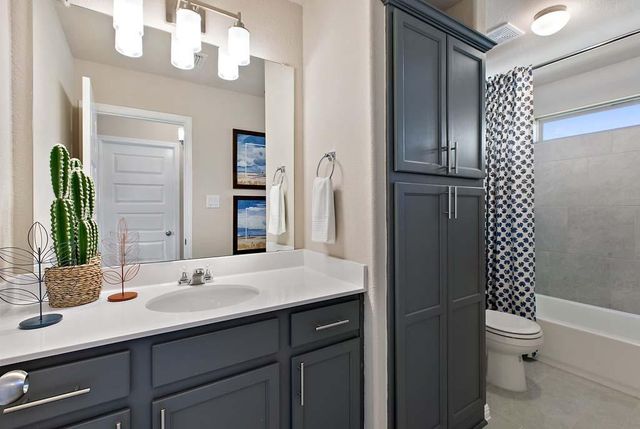 11309 Zip Cochise WAY, Austin, TX 78653