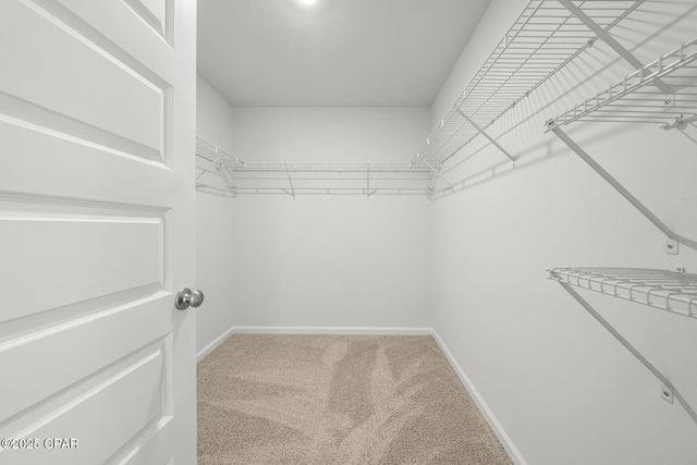 338 Highbrook, Panama City, FL 32404