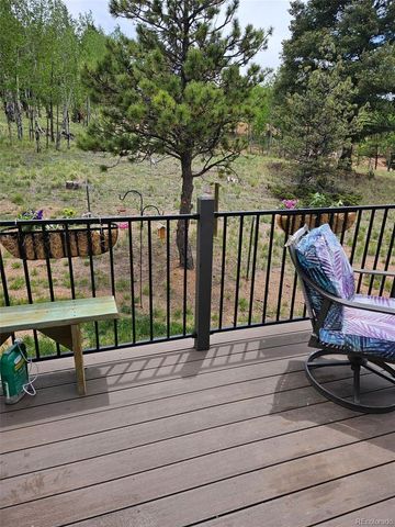 24 Big Horn Circle Circle, Florissant, CO 80816