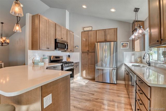 24 Big Horn Circle Circle, Florissant, CO 80816