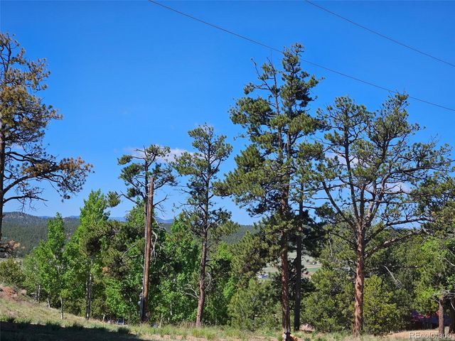 24 Big Horn Circle Circle, Florissant, CO 80816