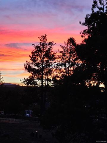 24 Big Horn Circle Circle, Florissant, CO 80816