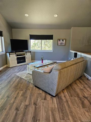 24 Big Horn Circle Circle, Florissant, CO 80816