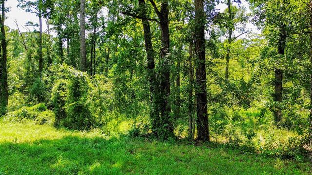 Lot 532 & 533 Tx-156, Coldspring, TX 77331