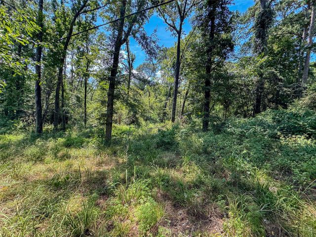Lot 532 & 533 Tx-156, Coldspring, TX 77331