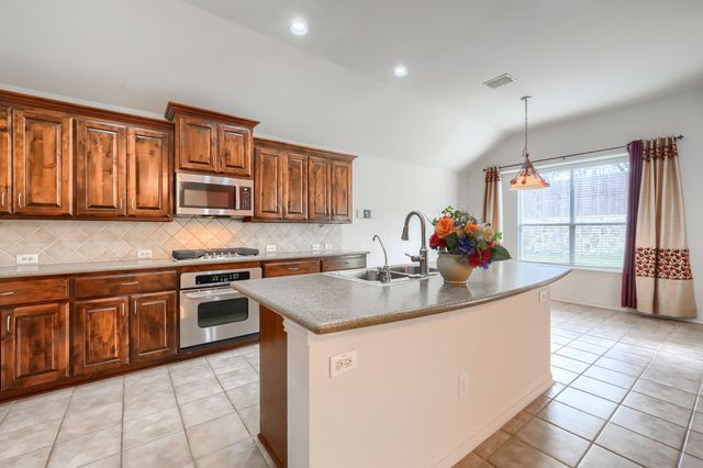3036 Bella Vista Lane, Little Elm, TX 75068